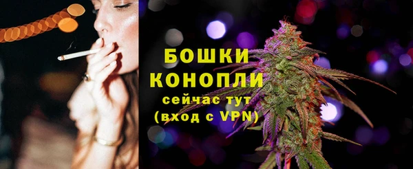 индика Бугульма