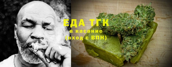 индика Бугульма